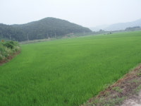 여주, 친환경농법 첨단을 달린다