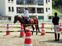 대전시 복용승마장, 무료 승마교실 열어