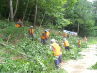 삼척시 노곡면 여삼리  공동퇴비증산 운동 추진