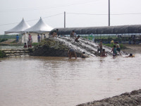 평택 바람새마을 전국 최초 ´논풀장´ 개장