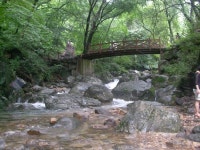 용문산 계곡물  콸~콸~, 무더위 싹 달아난다