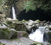 철원군 이장단 등 한탄강비경 답사한다