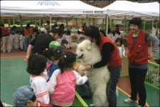 세계 견공들의 축제 ´대구애견엑스포´ 열려