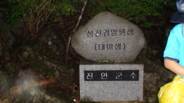 맑고 푸른 청정한 물빛따라  ´섬진강 육백리길 대장정´