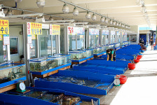 속초시 장사항 자연산 활어회센타 준공식