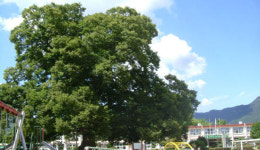 학생들이 행복한 희망의 배움터! 한재초등학교