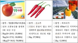 도심과 농심이 일심으로