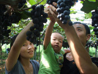 가을여행은  ´강원도 농촌체험´으로 떠나보자 !