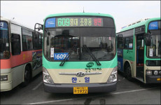 대구 시내버스 “서비스 질 좋아지네...”