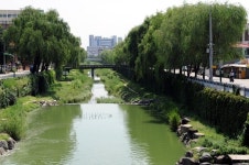 수원천, 2011년까지 생태하천으로 복원
