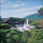 대구시 21일 ‘2008 으뜸산 돌아보기’ 팔공산서 실시