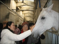 부산경남경마공원, 경마공원 체험하니 좋으시죠