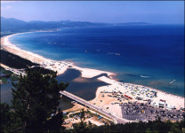 ´명사20리´ 고래불, 경북 우수해수욕장에 선정