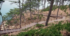 울산12경 ´대왕암 해안산책로´ 완공