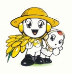 철원오대쌀 옥외광고물 지원사업 추진