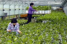 경기도농업기술원, 미생물 친환경농법 지침서 무료 배포