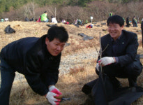 5·18민주묘지 오월동산 518그루 매화나무로 단장