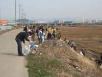 영산강살리기 폐자재 3000㎏ 걷어낸 광산구