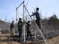 파주에서 전국 사과사랑동호회 연찬회 가져