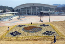 <포토>꽃으로 만든 대형 태극기