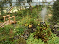 ‘야생화의 천국’…자연과 인간의 행복공감, 여주 서화마을