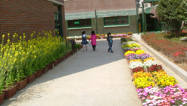 <학교탐방>자연과 지혜가 살아 숨 쉬는 ´마재초등학교´