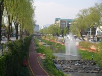 꽃길 산책로 수원천의  ´유혹´