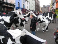 온가족이 함께하는  ‘과천 어린이축제’
