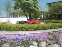 해여림식물원 ‘꽃의 나래 기지개’