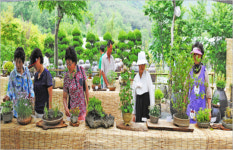 가창 숲속, 야생화 들꽃축제