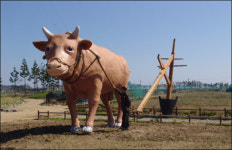 오감으로 느껴보는 ´친환경농업´의 미래