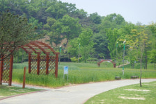 도심속 밀 보리밭,  자연학습장 인기