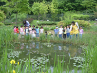 봄꽃이 한창인 과천시 ´야생화 자연학습장´