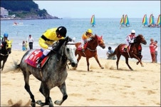 한국최초 ´경주마 해변경주´ 관광 상품 선봬
