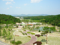 황학산 수목원 ‘고운 자태’ 드러내