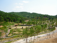 황학산 수목원 ‘고운 자태’ 드러내