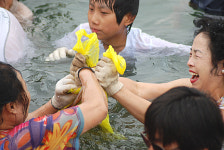 오징어 맨손으로 안잡아봤으면 말을 마세요
