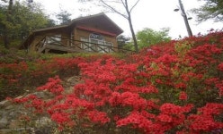 늦여름 끝물 더위! 남도 휴양림에서