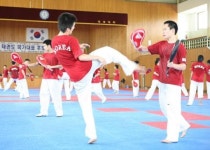 땅끝 해남서 전국대학 태권도선수 최강자 가린다