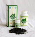 쑥뜸과 강화약쑥진액으로 건강한 몸 되찾으세요!