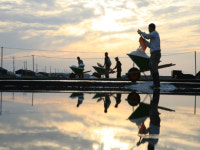 신안 증도 ´태평염전의 사계´ 특별사진전