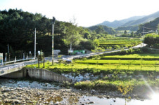 횡성군, 새농어촌건설운동 5년 연속 3개 우수마을 수상