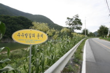 영월읍 삼옥3리, ´참살기좋은 마을´ 수상