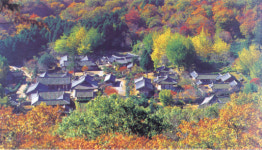지리산 화엄사 일원 ´명승´지정