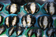 강릉 주문진 항구의 표정