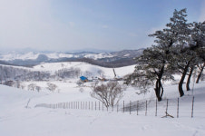 평창군 관광목장, 녹색체험 관광지로 각광