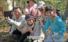 양양군 ‘송이밸리 테마파크’ 본격 조성