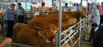 해남군, ´구제역 조심´ 가축시장 사용정지