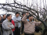 남양주시, 명품 과수농산물 Top Fruit 교육