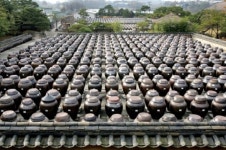 안성시 서일농원, ´장양제(장독축제)´개최